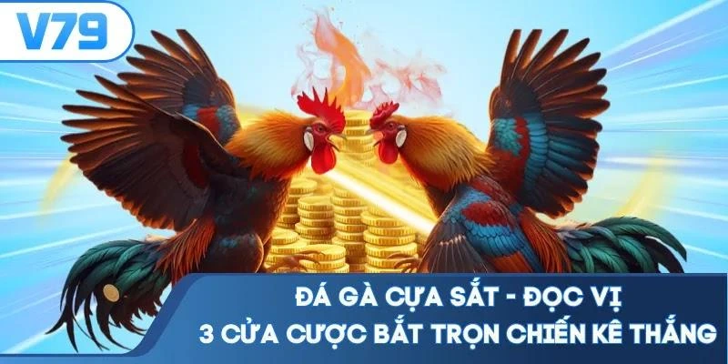 Đá Gà Cựa Sắt - Đọc Vị 3 Cửa Cược Bắt Trọn Chiến Kê Thắng