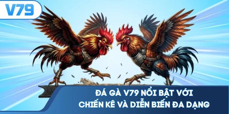da-ga-v79-noi-bat-voi-chien-ke-va-dien-bien-da-dang Đá gà V79 nổi bật với chiến kê và diễn biến đa dạng