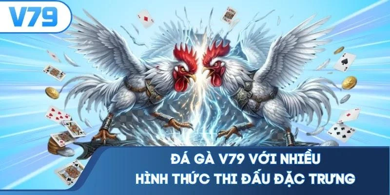 da-ga-v79-voi-nhieu-hinh-thuc-thi-dau-dac-trung Đá gà V79 với nhiều hình thức thi đấu đặc trưng