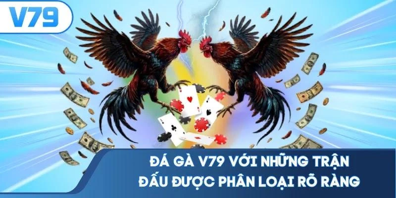 da-ga-v79-voi-nhung-tran-dau-duoc-phan-loai-ro-rang Đá gà V79 với những trận đấu được phân loại rõ ràng