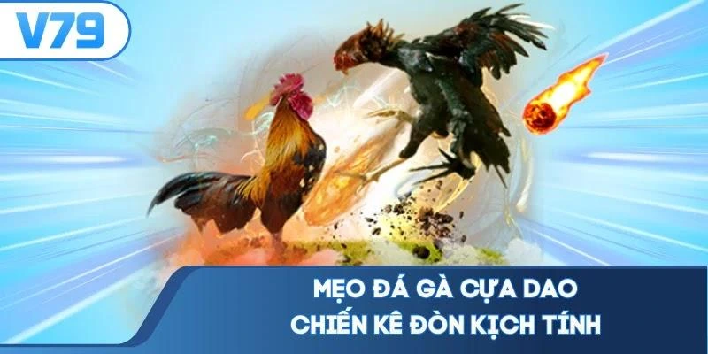 meo-da-ga-cua-dao-chien-ke-don-kich-tinh Mẹo đá gà cựa dao chiến kê đòn kịch tính