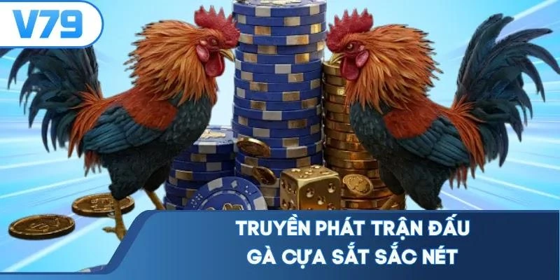 truyen-phat-tran-dau-ga-cua-sat-sac-net Truyền phát trận đấu gà cựa sắt sắc nét